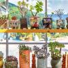 hadong cloud hill pension