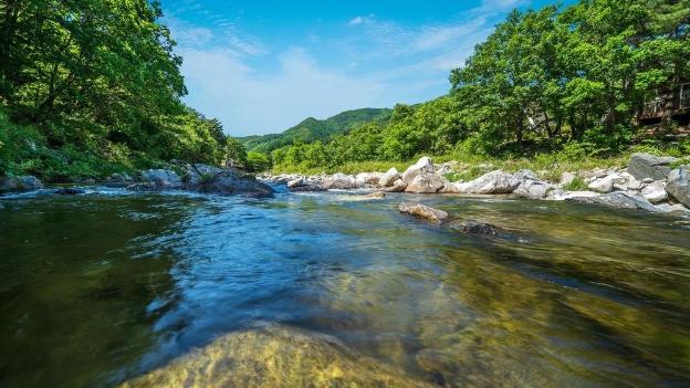 gapyeong lulu kids pension