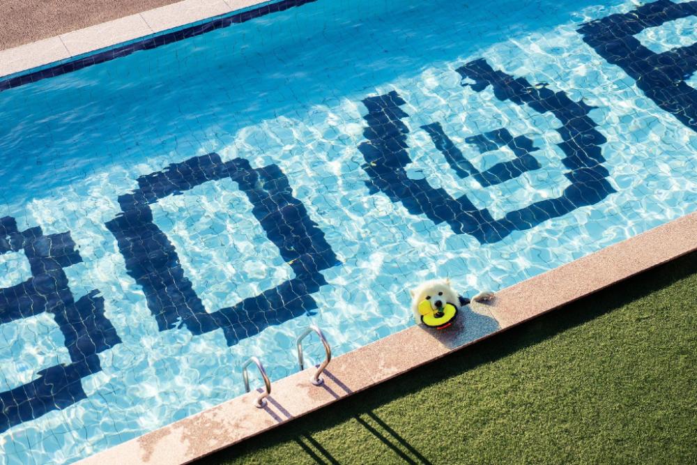 gapyeong bobo pool villa