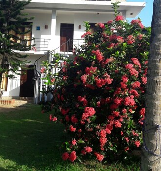 dream village beach resort and cabanas