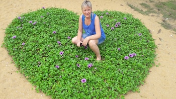 Dream Village Beach Resort & Cabanas,,3 star