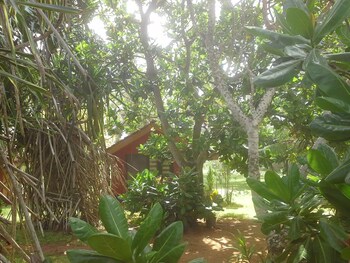 dream village beach resort and cabanas
