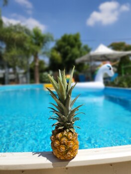 Morad Haharbel,Arbel>>Alma,4 star