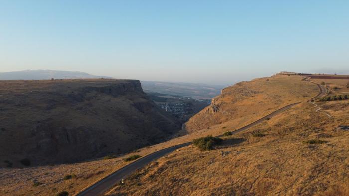 arbel