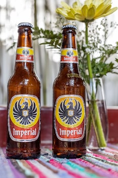 alajuela city hotel and guest house