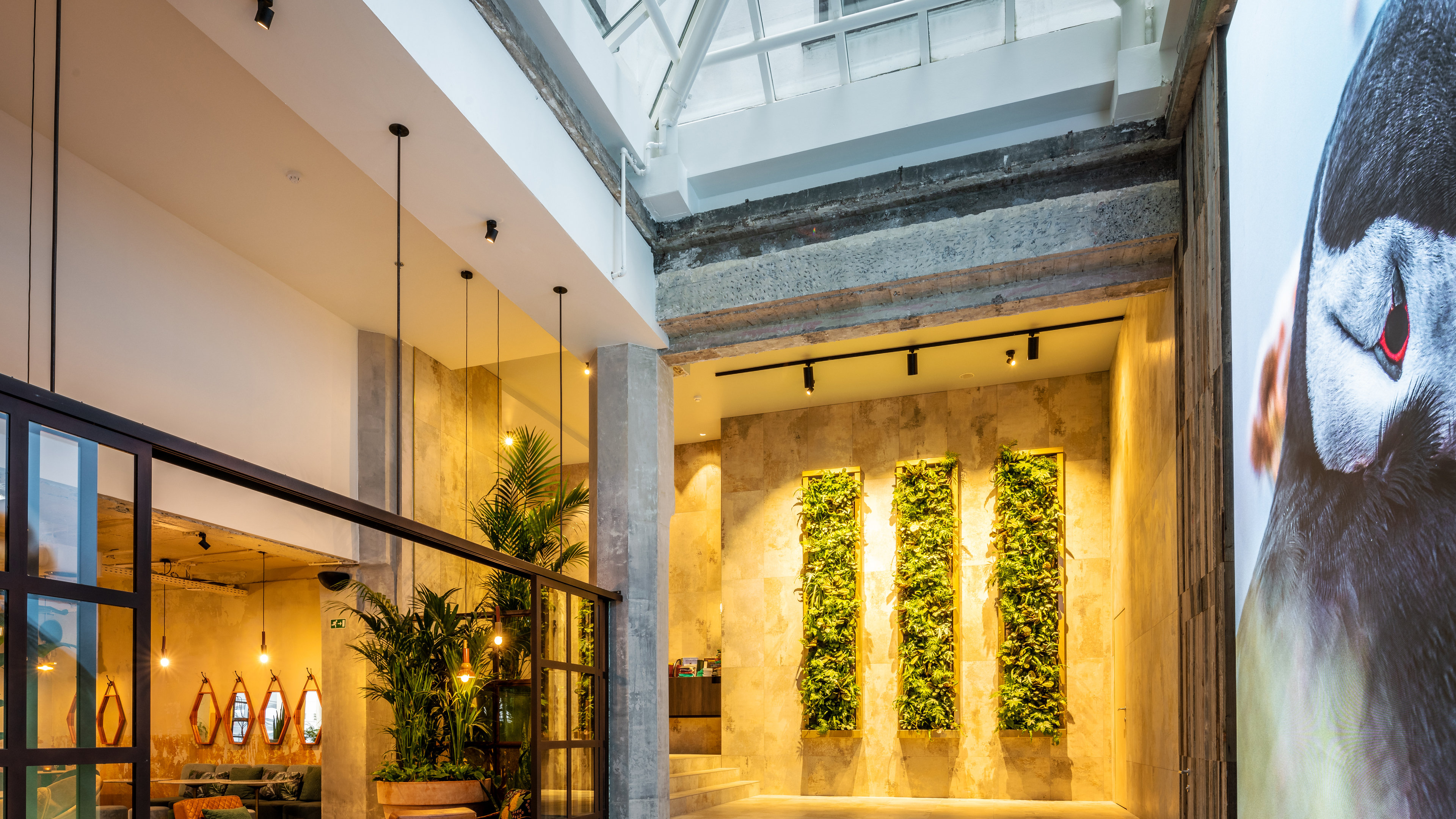 hotel indigo brussels city by ihg