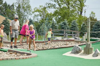 jellystone park tm of western new york