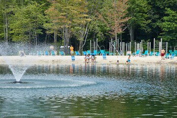 jellystone park tm of western new york