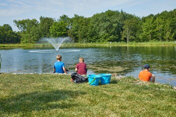 jellystone park tm of western new york