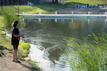 jellystone park tm of western new york