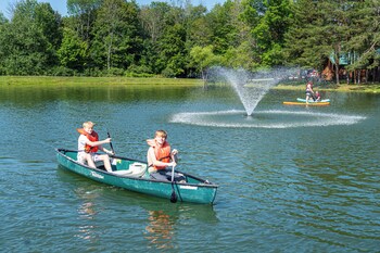jellystone park tm of western new york