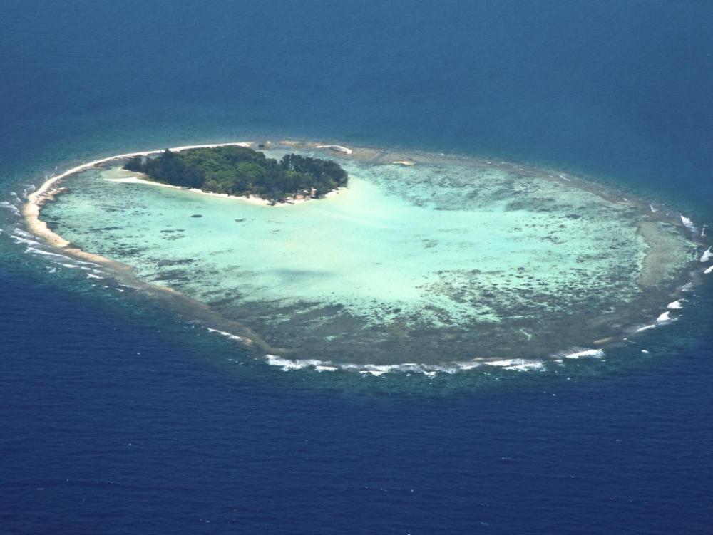 kura kura resort