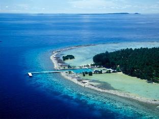kura kura resort