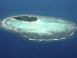 kura kura resort