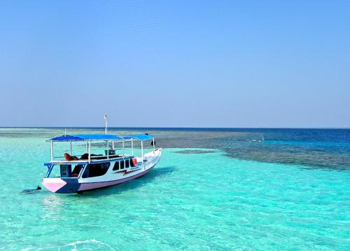 kura kura resort