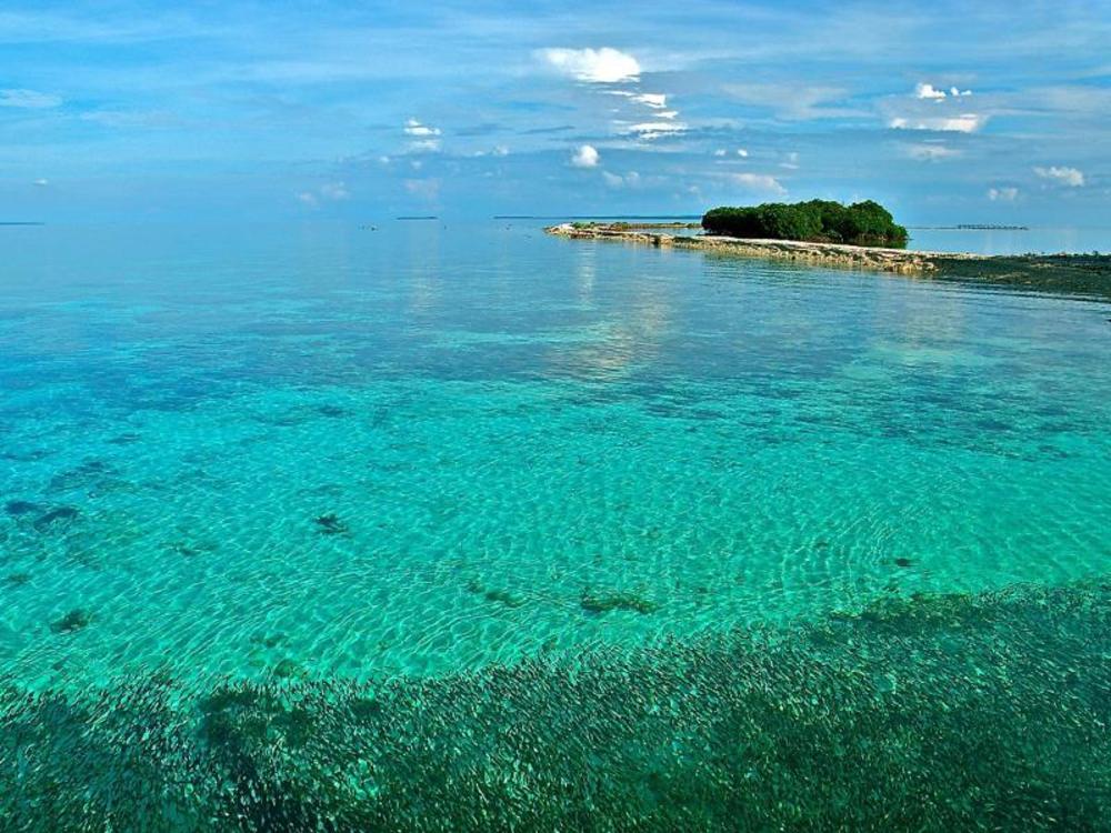 kura kura resort