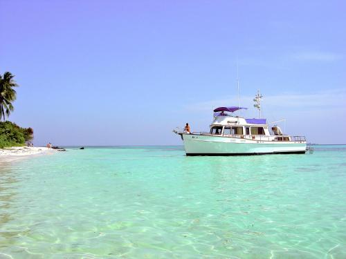 kura kura resort