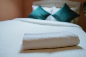 le centenaire brussels expo