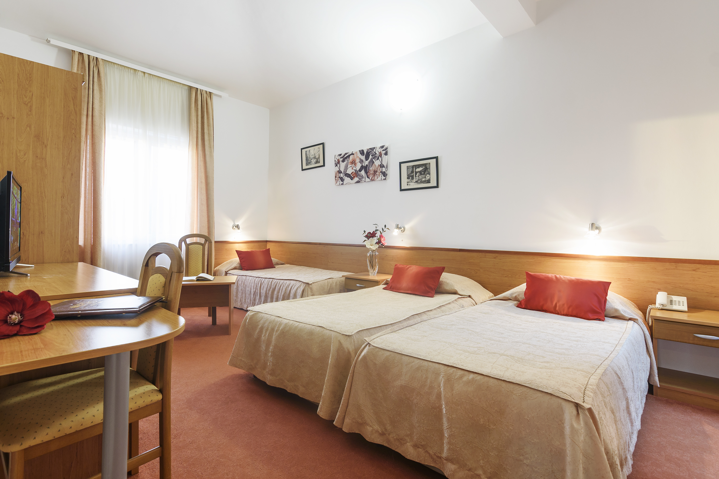 villa vicko
