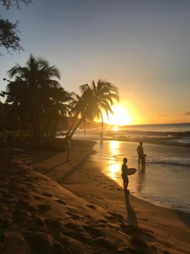 auberge k wan hostel