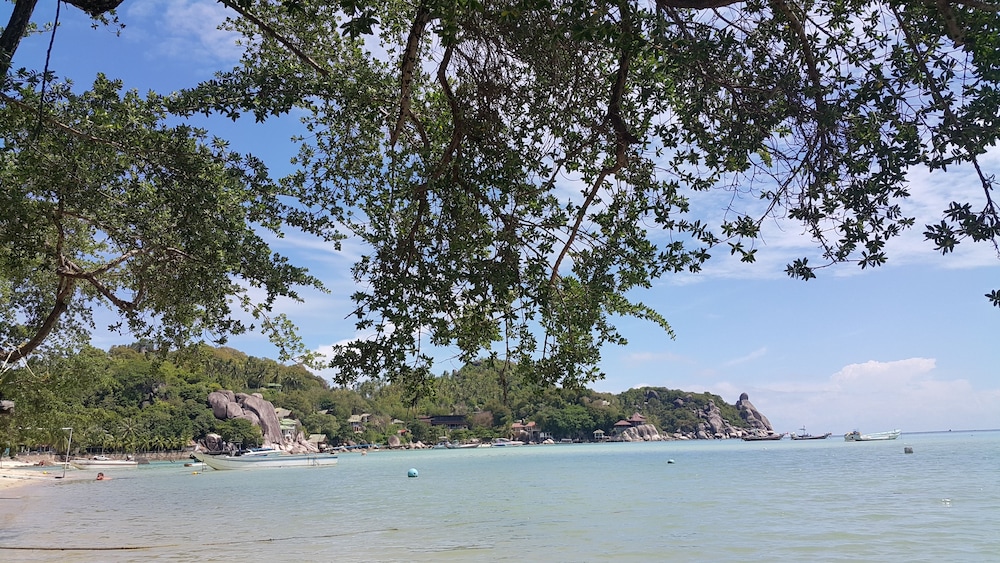 greenery resort koh tao