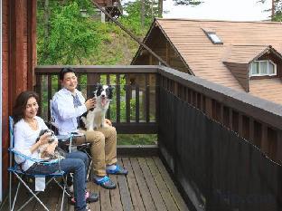 azumino wanwan paradise jr