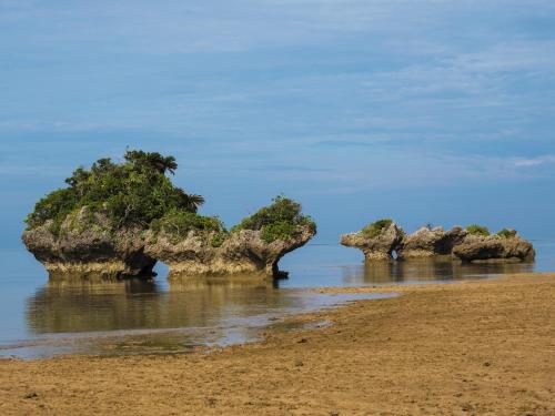 the iriomote island hotel hoshitate
