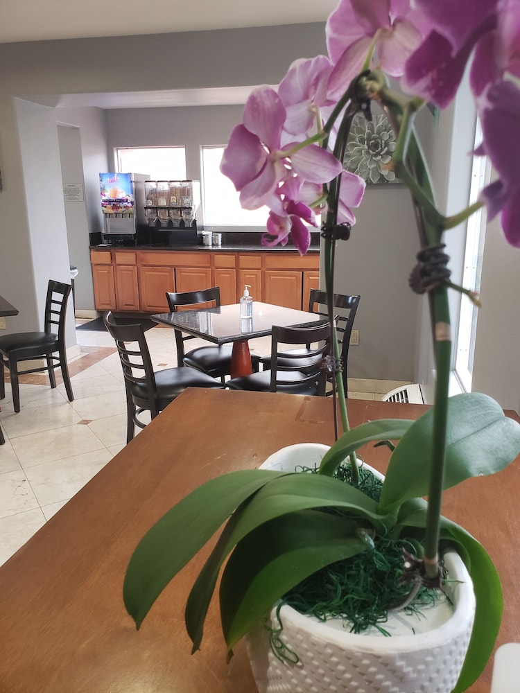 portofino inn burbank