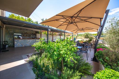 hotel olive ksamil