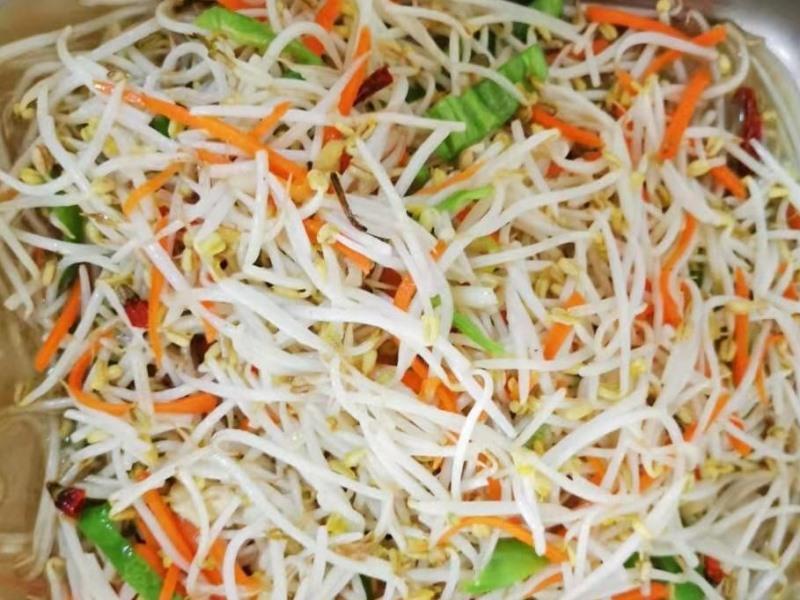 shell bozhou woyang county donghuan road hotel