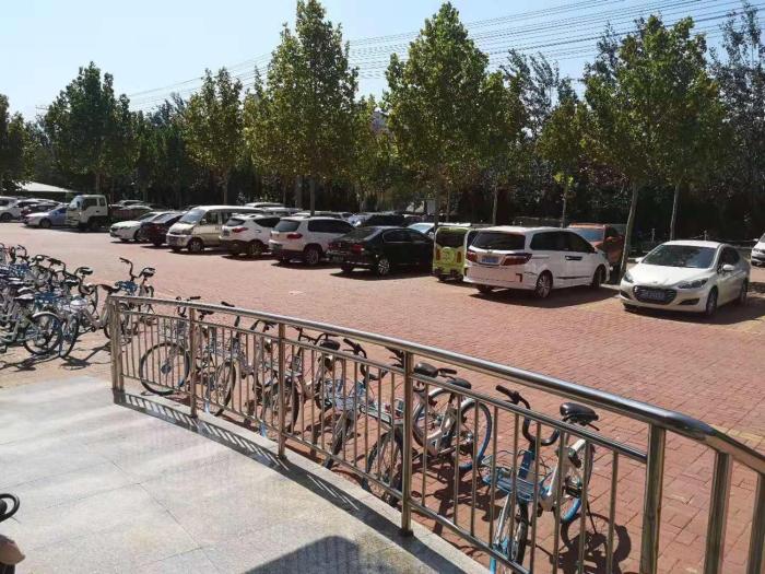 dezhou