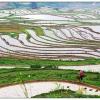 shaoguan