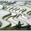 shaoguan