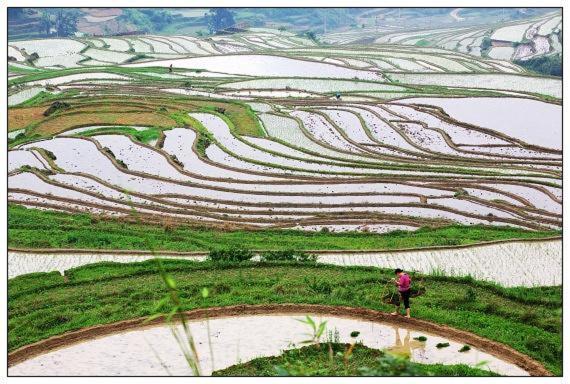 shaoguan