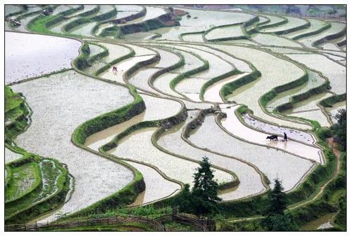 shaoguan