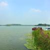 zibo
