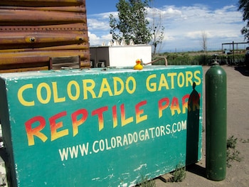 comfort inn and suites alamosa