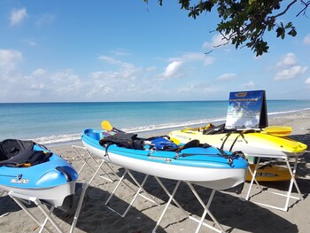 coconut paradise beach hotel