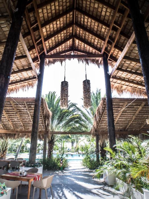 coconut paradise beach hotel