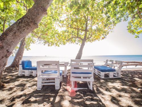 coconut paradise beach hotel