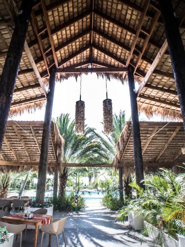 coconut paradise beach hotel