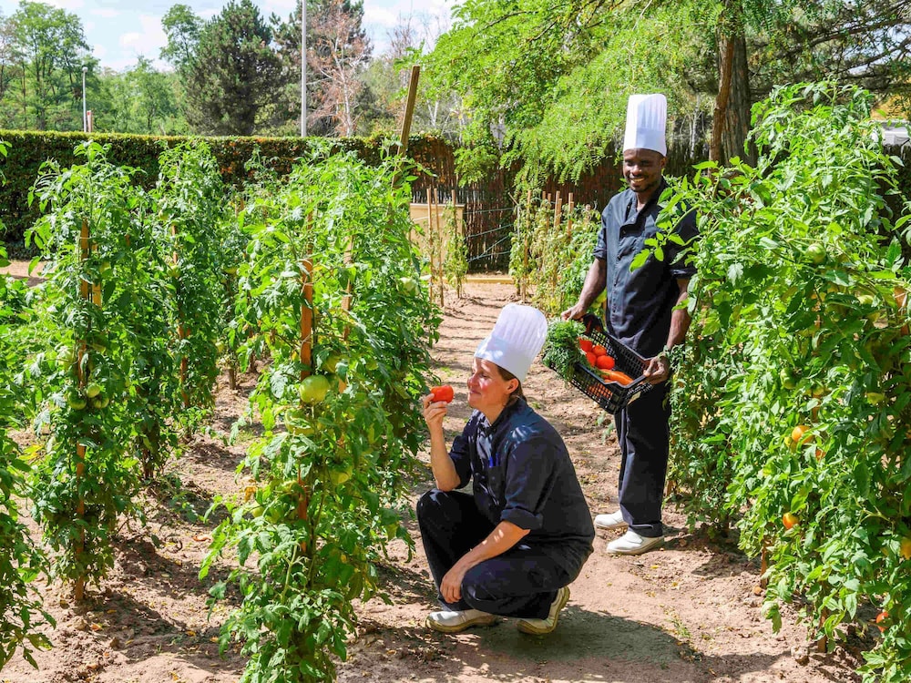 demeures de campagne chemins de sologne a orleans
