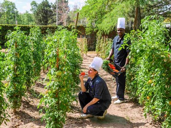demeures de campagne chemins de sologne a orleans