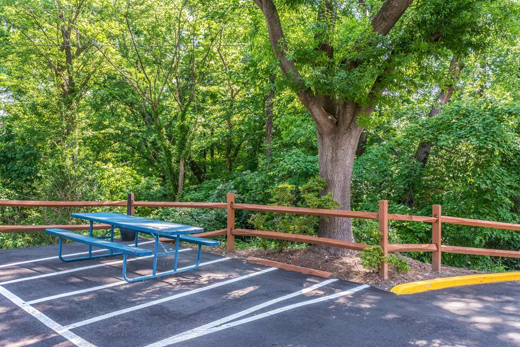 comfort inn charlotte airport uptown