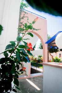 marika apartments