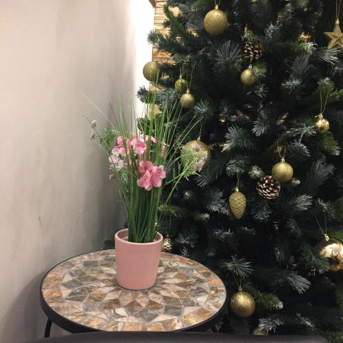 vulkan wellness panzio