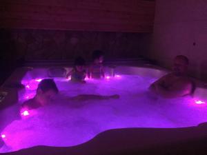 vulkan wellness panzio