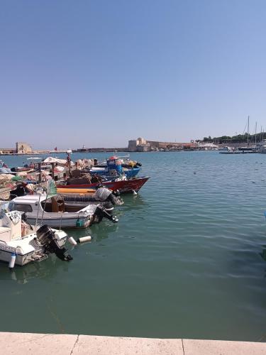 trani