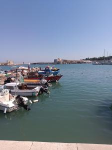 trani