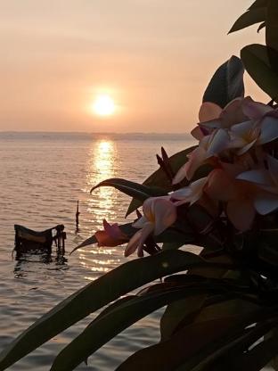 araliya lagoon park resort